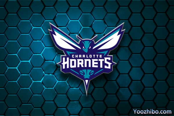 2019-2020赛季<a href=/look/lanqiuzhibo/hornets/ target=_blank class=infotextkey>黄蜂</a>队队徽